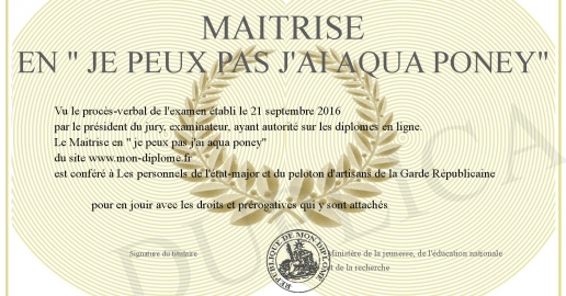 Maitrise en - je peux pas j ai aqua poney-